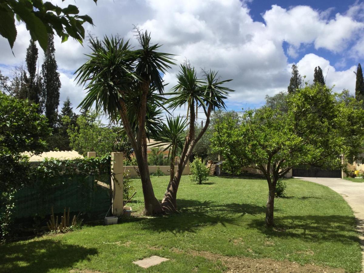 Casa Evi Corfu 1 Lejlighed Potamós Eksteriør billede